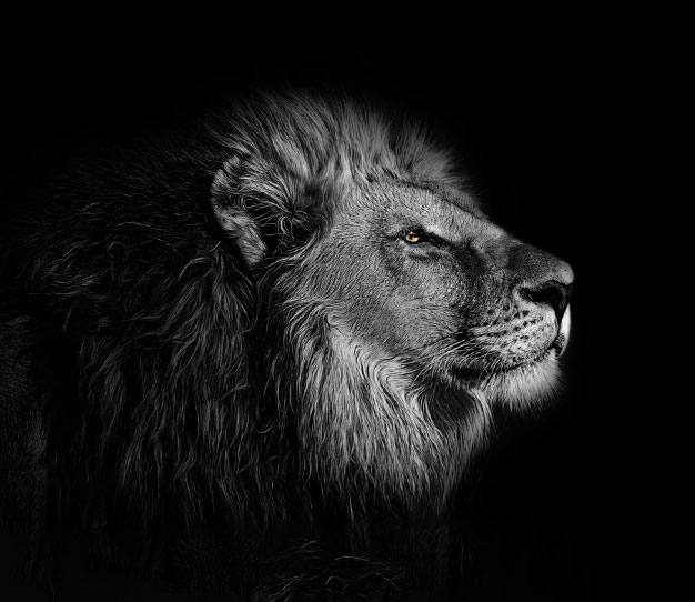 leao